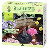 Moses Blatt & Blüte - Solar-Brunnen