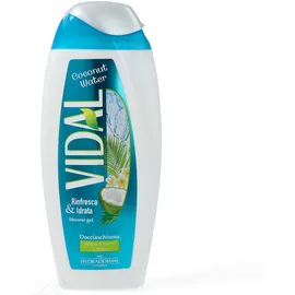 Vidal Duschgel Kokoswasser 250 ml
