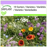 Saflax - Wildblumen: Insekten Paradies - 1000 Samen - 19