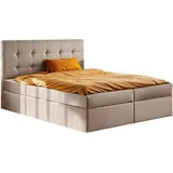 kaiser möbel Boxspringbett mit matratze und bettkasten, Schlafbett LUDANO stoff Noel 140x200 cm KaltesBeige