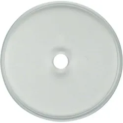 Berker Glasplatte 1090