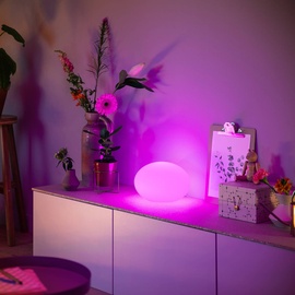 Philips Hue White and Color Ambiance Flourish weiß