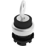 PIZZATO ELETTRICA E21SC2DVA19AA E21SC2DVA19AA Schlüsselschalter Schwarz 1 x 90 1St.