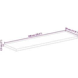 vidaXL Tischplatte 100x30x2,5 cm Rechteckig Raues Massivholz Mango