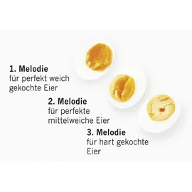 Brainstream Muhkuh PiepEi Kurzzeitmesser