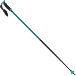 Atomic Redster X Carbon SQS Skistöcke blau - 115cm