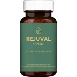 REJUVAL mit NMN Resveratrol EGCG Anti-Aging Kaps. 60 St