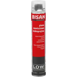 Bisan Montageschaum Niederdruck 750 ml
