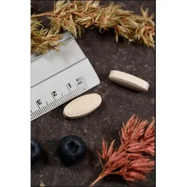 Supplementa Vitamin C 1000 Plus Retardtabletten