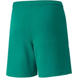 Puma teamLIGA Shorts Jr