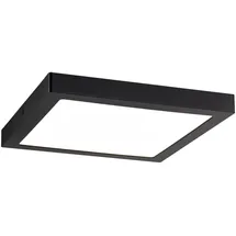 Paulmann Abia 709.85