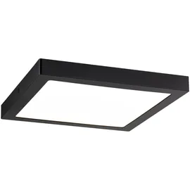 Paulmann Abia 709.85