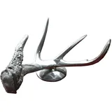 Casa Padrino Deko Horn - Aluminium vernickelt - Luxus Schreibtisch Dekoration