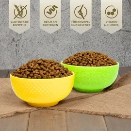 Lyra Pet 2,5 kg Lecker.Pet® Leo's Adult Geflügel & Forelle Katzenfutter Trockenfutter Vollnahrung + 2 Mäuse