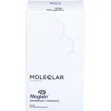 moleqlar gmbh Magtein Magnesium L-Threonat Kapseln 90 St.