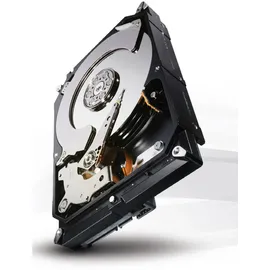 Seagate Terascale HDD 4TB (ST4000NC001)