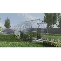 klasika greenhouses Gewächshaus 10m2, 2,5m x 4m, 6 mm Polycarbonatabdeckung 2 Dachfenster)