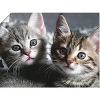 ARTland Artland, Katze 80x60cm