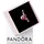 Pandora Hummer Silber 793676C01