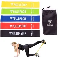 PULLUP & DIP Loop Bänder Set. Mini Bänder in
