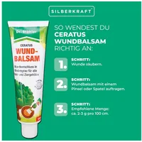 Silberkraft Ceratus Wundbalsam – Mittel zur Wundversorgung für Bäume