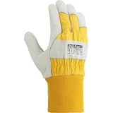 teXXor Winterbauhandschuhe, Himalaya Ii - Größe 8 (M)