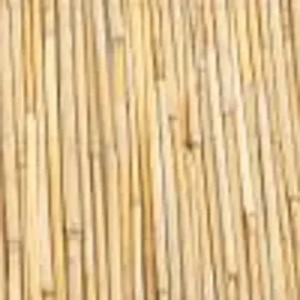 casa.pro Schilfzaun 100 x 500 cm Beige