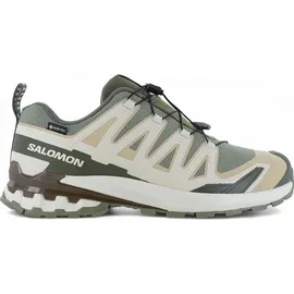 Salomon XA Pro 3D V9 GTX Herren Deep Lichen Green/Safari/Dark Earth 44 2/3