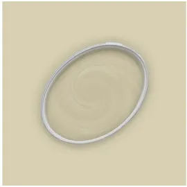 A.S. Creations Wandfarbe TCK4000 Grün matt 2,5 l