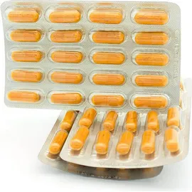 Sinob Curcumin Kapseln 60 St.