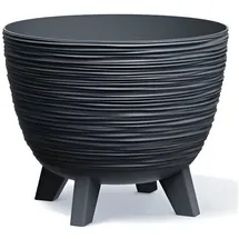 Prosperplast Furu Blumentopf, Schale mit Füßen, Pflanzschale, UV-strahlenbeständig (Anthrazit, ⌀ 236mm)
