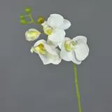 artplants.de Künstliche Blume Phalaenopsis Orchideen Zweig MINA, weiß, 55cm - Deko Orchidee
