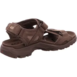 ECCO Offroad Herren dark clay 45