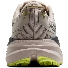 Brooks Herren Cascadia 19 Schuhe (Größe 45, beige)