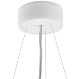 LTS Licht Drahtseilabhängung L 71/3000 DIM si