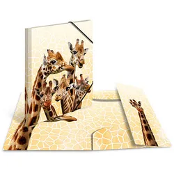 3 HERMA Sammelmappen DIN A4 Giraffen