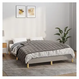 vidaXL Gewichtsdecke Grau 137x200 cm 6 kg Stoff