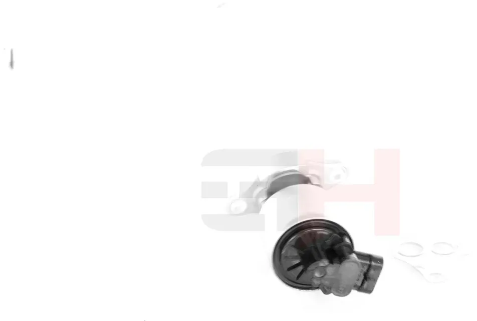 GH AGR-Ventil gh733747 für Citroën Peugeot LAND ROVER FERRARI VW