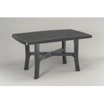 PROGARDEN Rodano Tisch polypropylen 138 x 88 x 72 cm anthrazit
