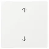 Gira Wippschalter Pfeile System 55 Reinweiß