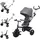 Kinderkraft Dreirad ASTON 2 Plus, grau