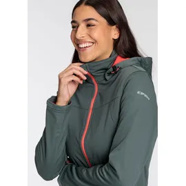 ICEPEAK Softshelljacke »D SOFTSHELLJACKE BOISE«, Gr. 46, GREEN, Damen Jacken Wasserdicht & Winddicht