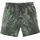 Chiemsee Badeshorts Geraldo Grün M