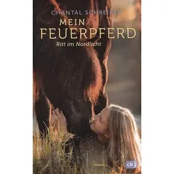 Ritt im Nordlicht - Mein Feuerpferd (Bd.1)