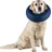 Trixie Schutzkragen aufblasbar S-M 32-40 cm Blau