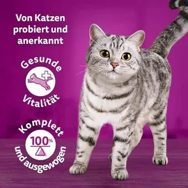 Whiskas Tasty Mix Chef's Choice Katzenfutter nass in Sauce 96 x 85 g