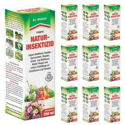 Silberkraft Pyreth Natur-Insektizid 10x250 ml