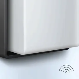 Steinel L 845 SC anthrazit 078645