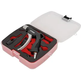 Stier Ausblaspistole APM-8