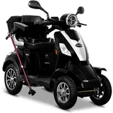 E-Quad 25 V.2 1000 Watt 25 km/h schwarz